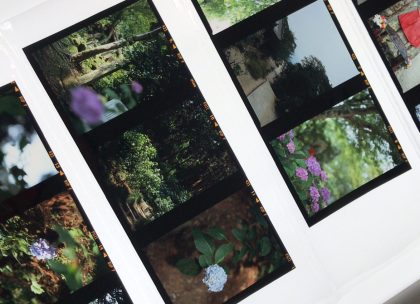 ポジフィルム/リバーサルフィルム