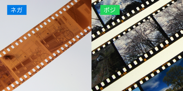 プロが解説】ポジフィルムとネガフィルムの違いとは？見分け方・特徴